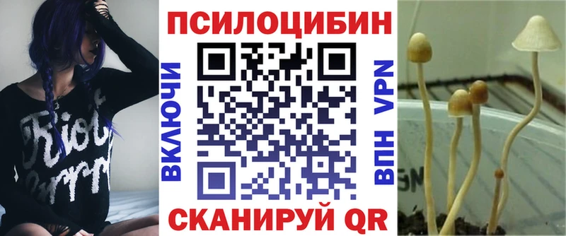 Галлюциногенные грибы прущие грибы  Купить где  Малаховка 